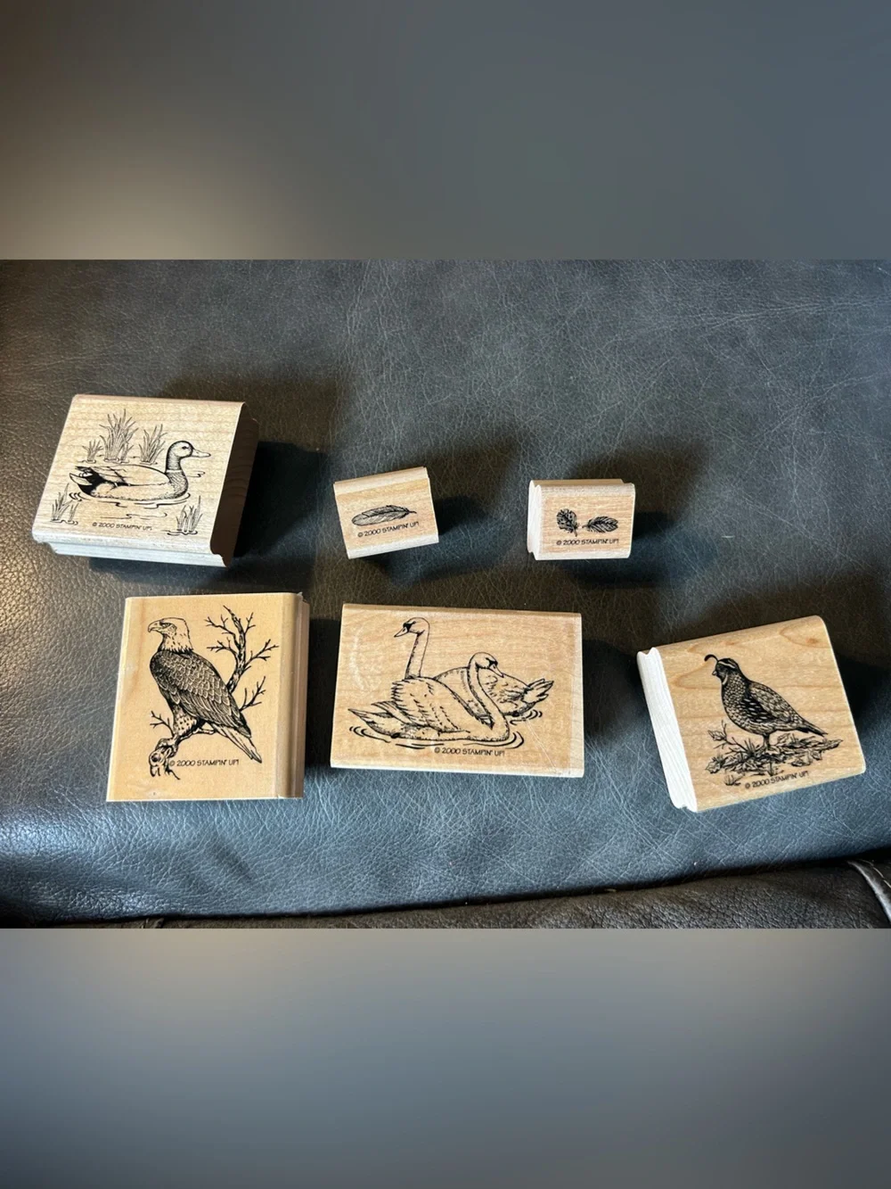 6 STAMPIN UP! 2000 BIRDS STAMPS duck eagle feather swan quail vintage